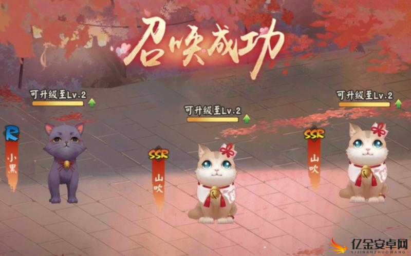 揭秘！探寻阴阳师中缘结神的神秘猫咪的真正名字