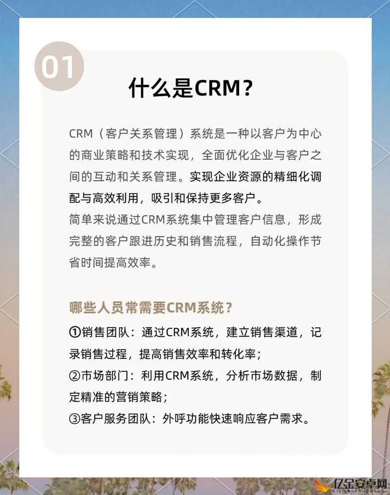 国外在线 CRM 系统：提升企业客户管理效率的高效工具