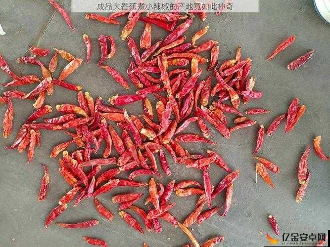 成品大香蕉煮小辣椒怎么吃：新奇独特的别样风味探索